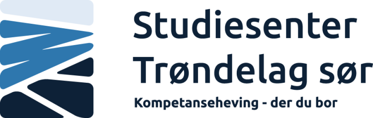 Logo Studiesenteret