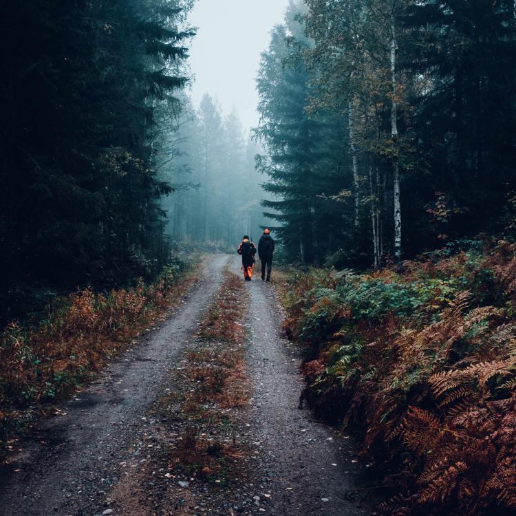 Illustrasjonsbilde av jakt. Foto: Unsplash.com/Fredrik Öhlander