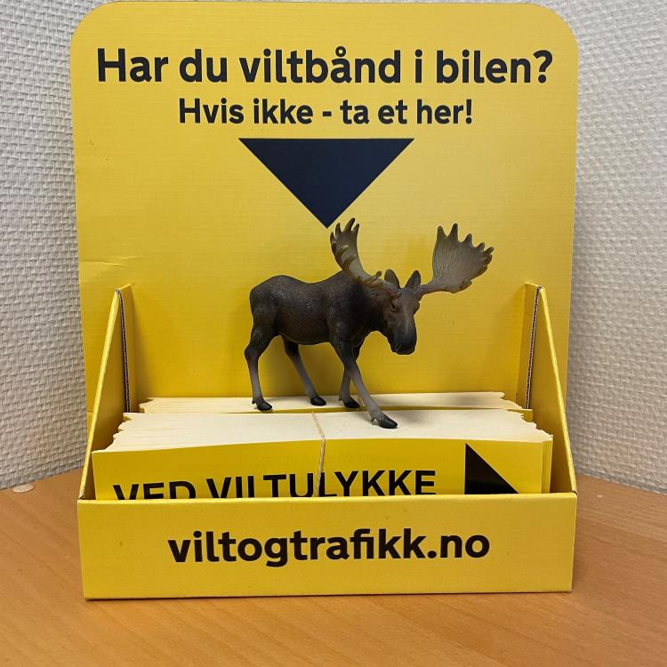 viltbånd